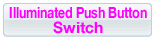 illuminated push button switch