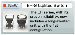 EH-G Lighted Switch